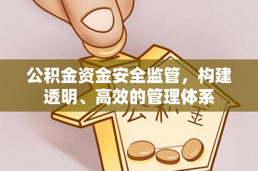陈巴尔虎旗公积金资金安全监管，构建透明、高效的管理体系
