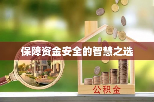 陈巴尔虎旗保障资金安全的智慧之选